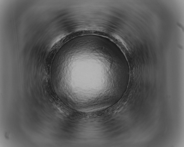 X0000091231064200708301511