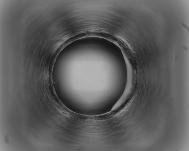 X0000091231065200708301511
