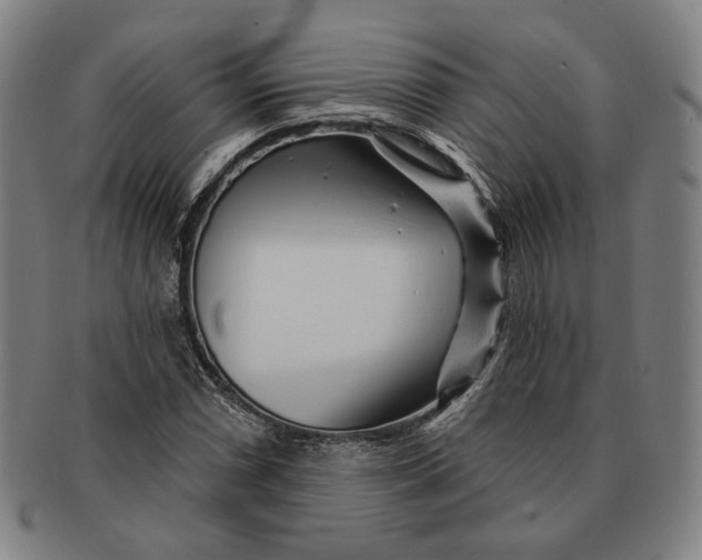 X0000091231066200708301511