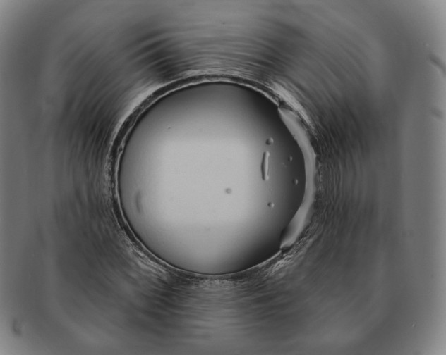 X0000091231068200708301511