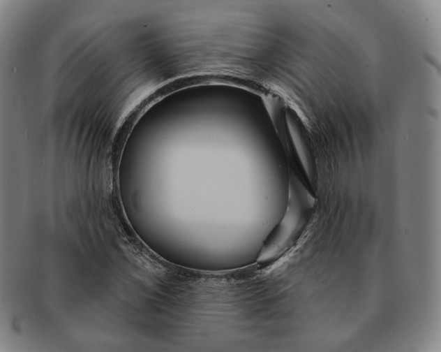 X0000091231069200708301511