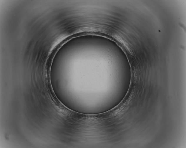 X0000091231070200708301511