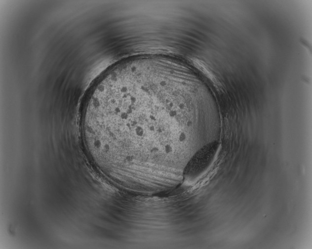X0000091231071200708301511
