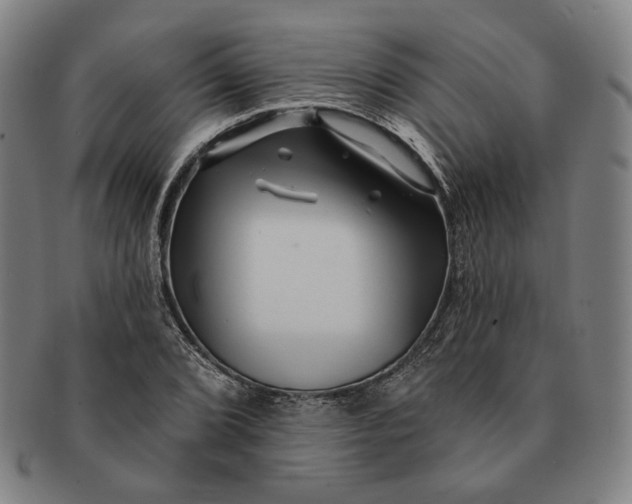 X0000091231072200708301511