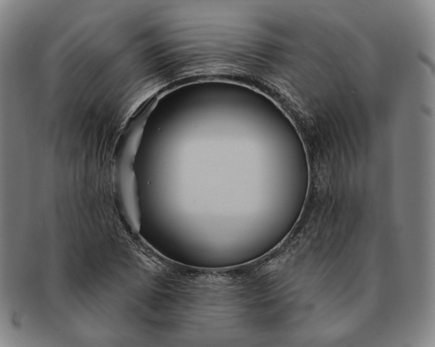X0000091231073200708301510