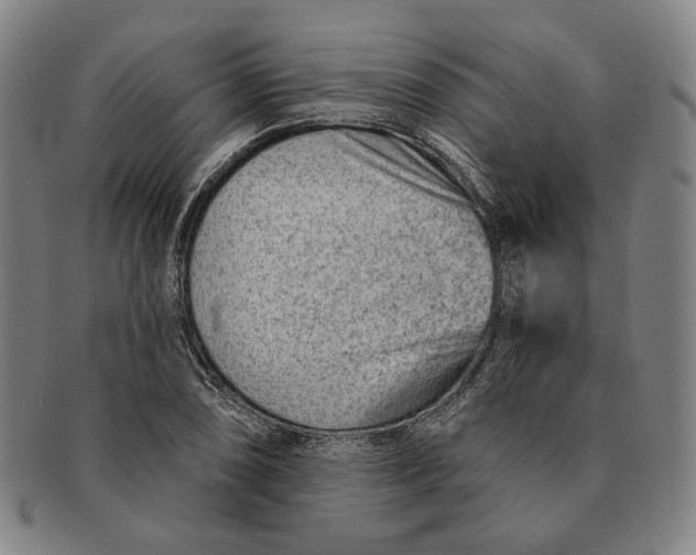 X0000091231074200708301510