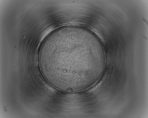 X0000091231075200708301510