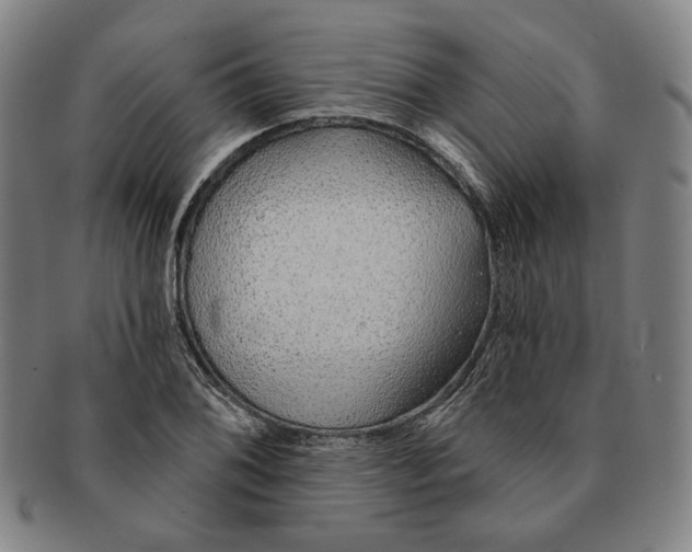 X0000091231076200708301510
