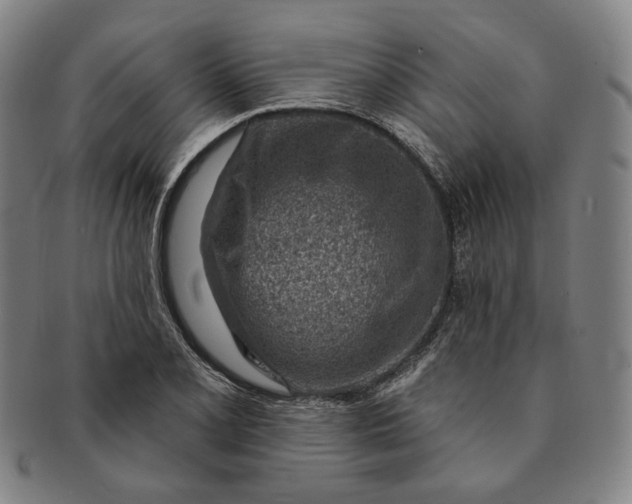 X0000091231077200708301510