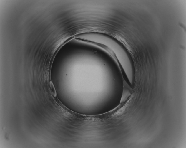 X0000091231081200708301510