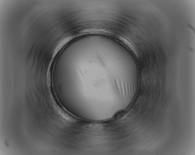 X0000091231082200708301510