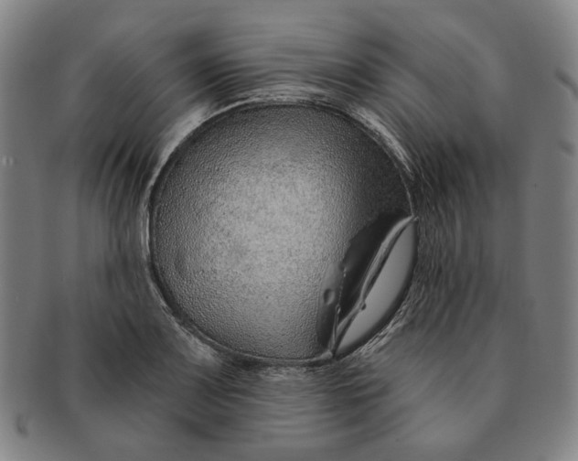 X0000091231083200708301510