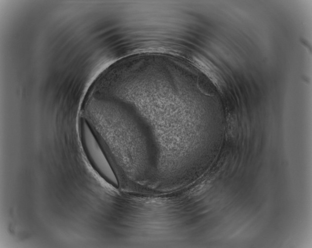 X0000091231084200708301510