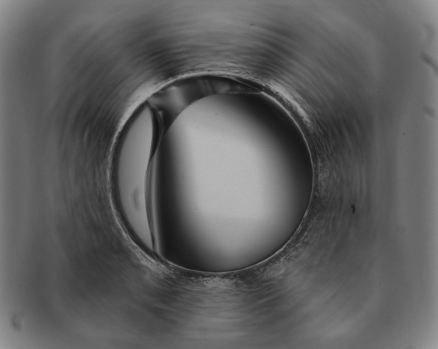 X0000091231085200708301510