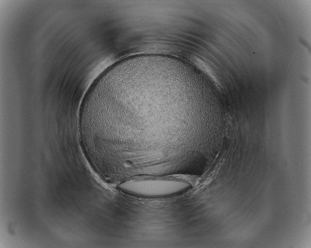 X0000091231087200708301510