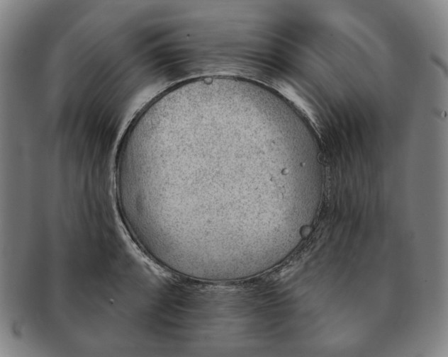 X0000091231088200708301510