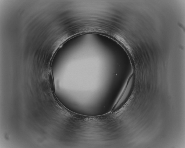 X0000091231089200708301510