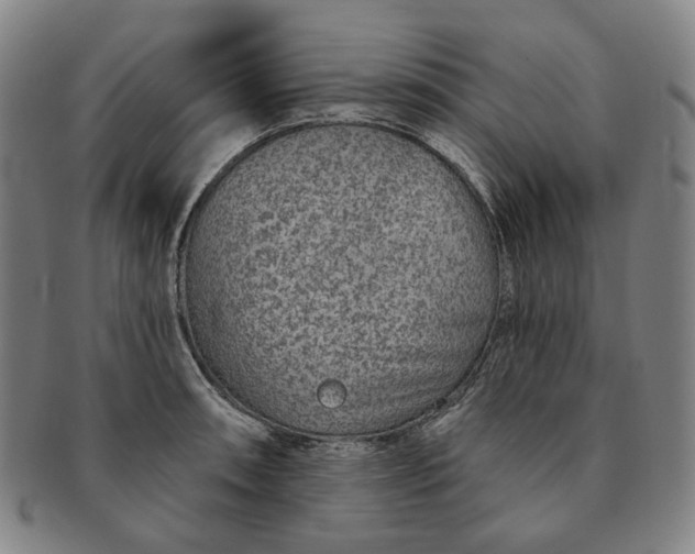 X0000091231090200708301510