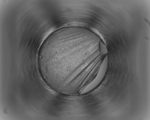 X0000091231091200708301510