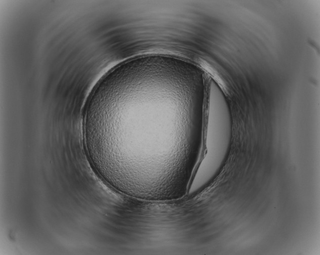 X0000091231092200708301510