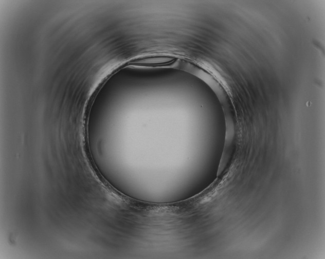 X0000091231093200708301510