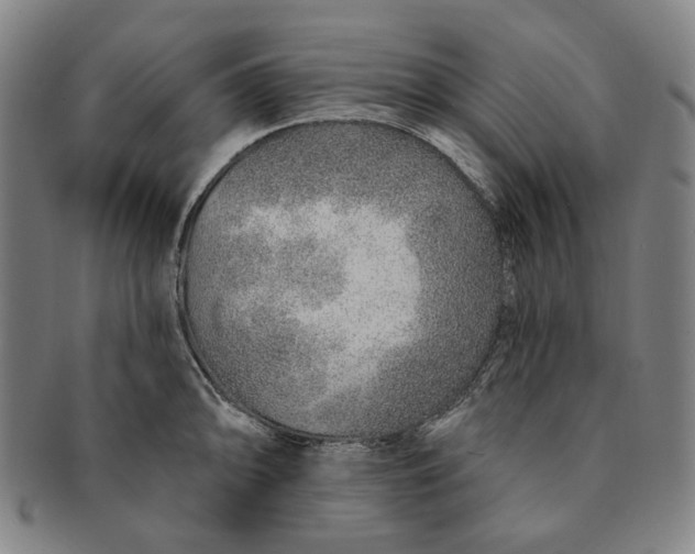 X0000091231094200708301510