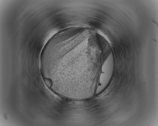 X0000091231095200708301510