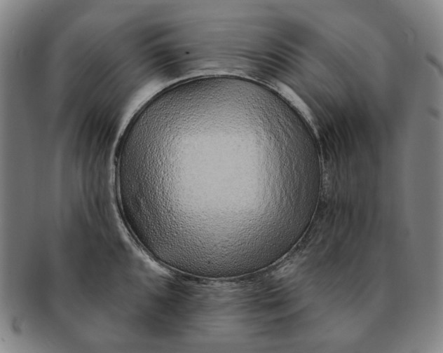 X0000091231096200708301510