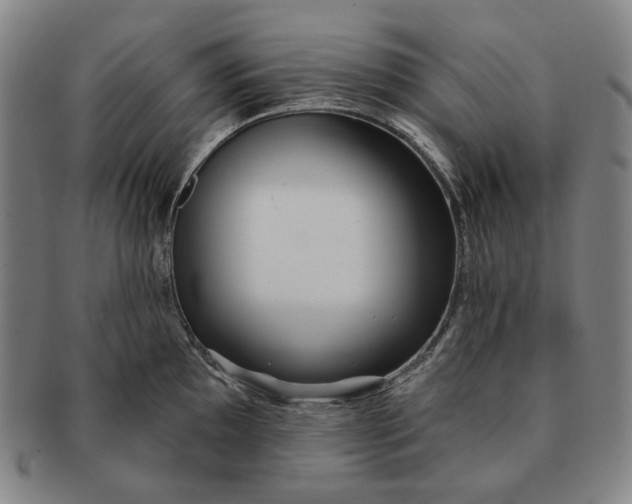 X0000091231097200708301510