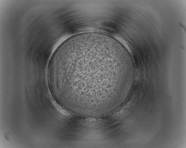 X0000091231098200708301510