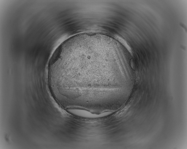 X0000091231099200708301510