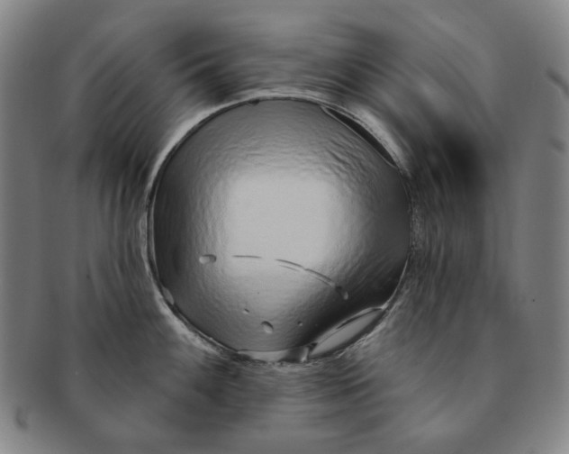 X0000091231100200708301510