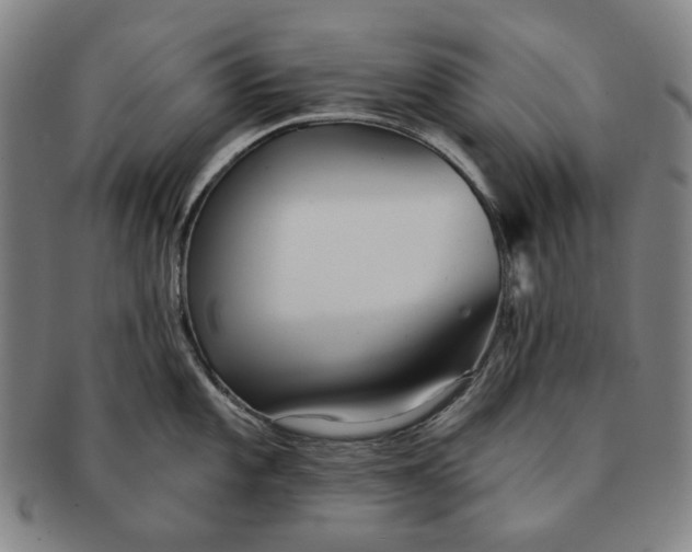 X0000091231101200708301510