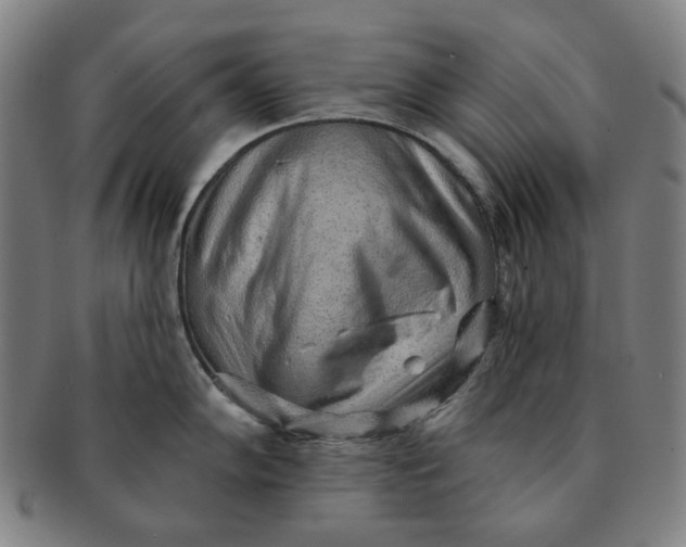 X0000091231102200708301510