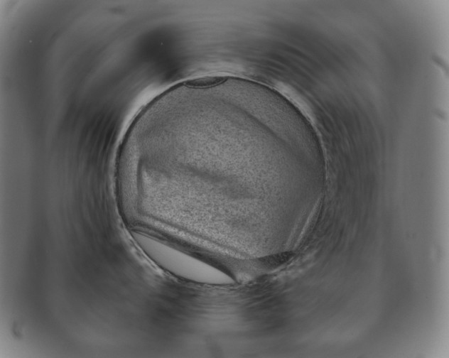 X0000091231104200708301510