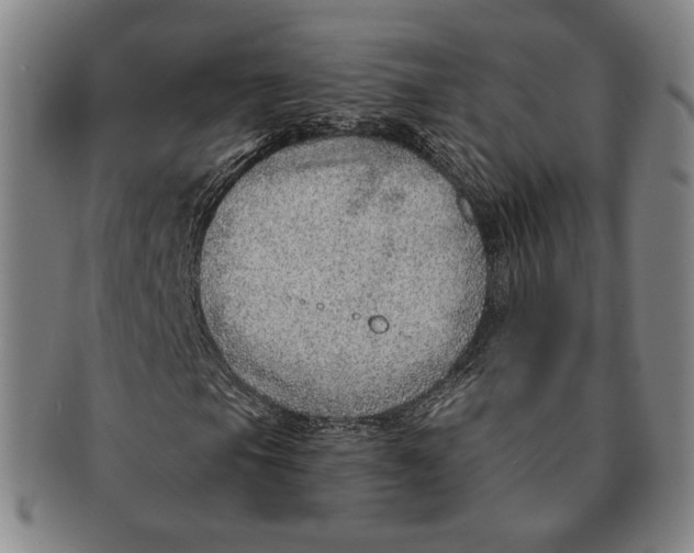 X0000091231105200708301509
