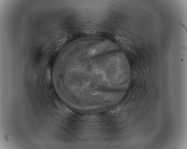 X0000091231106200708301509