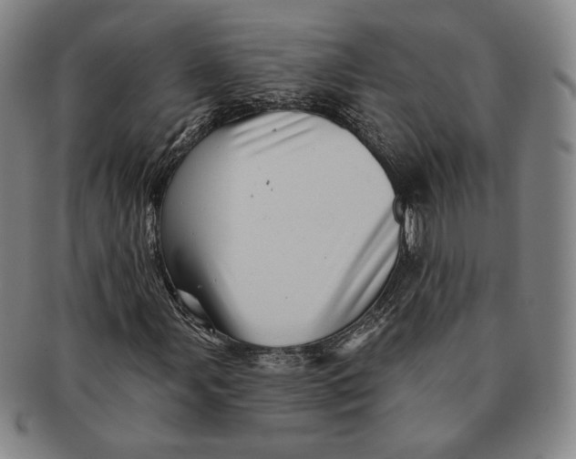 X0000091231107200708301509