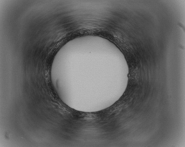 X0000091231109200708301509