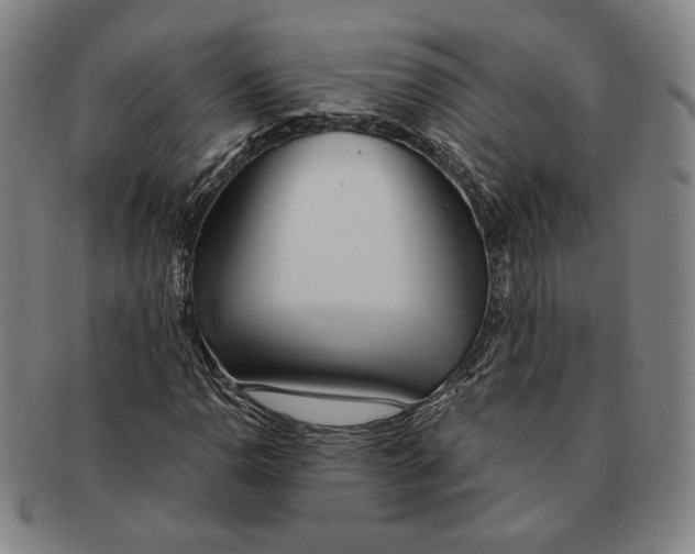 X0000091231110200708301509