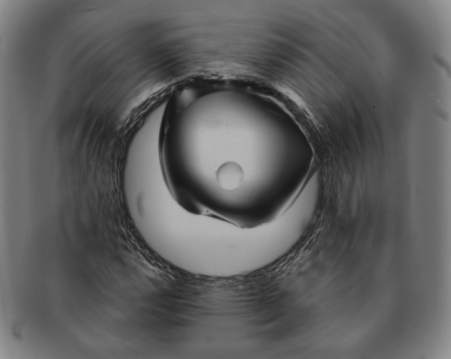 X0000091231112200708301509