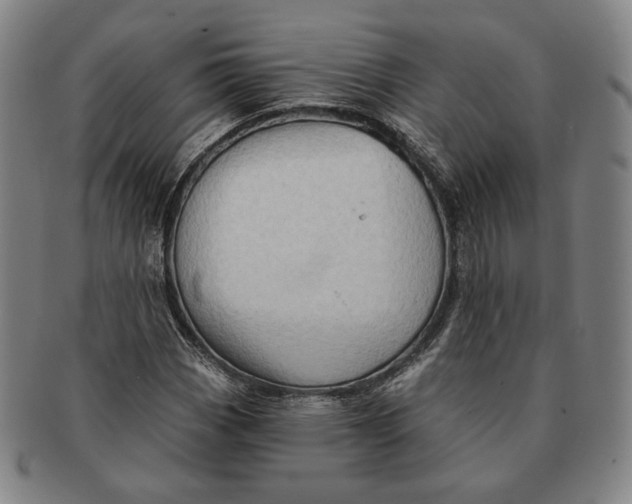 X0000091231113200708301509