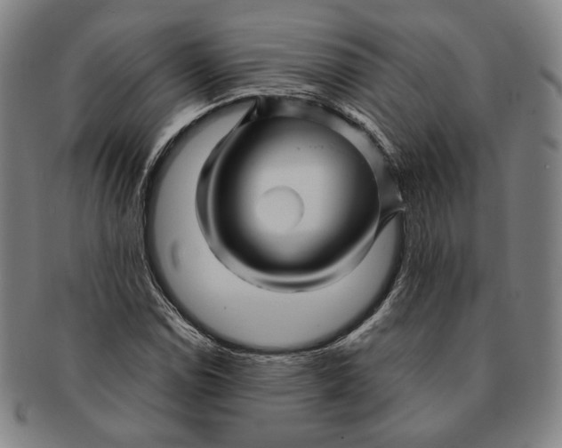 X0000091231114200708301509