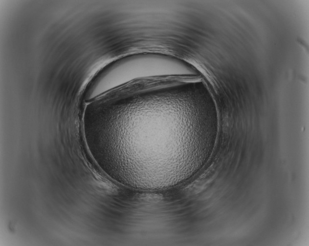 X0000091231115200708301509