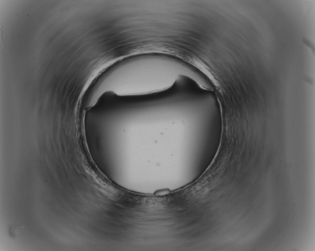 X0000091231116200708301509