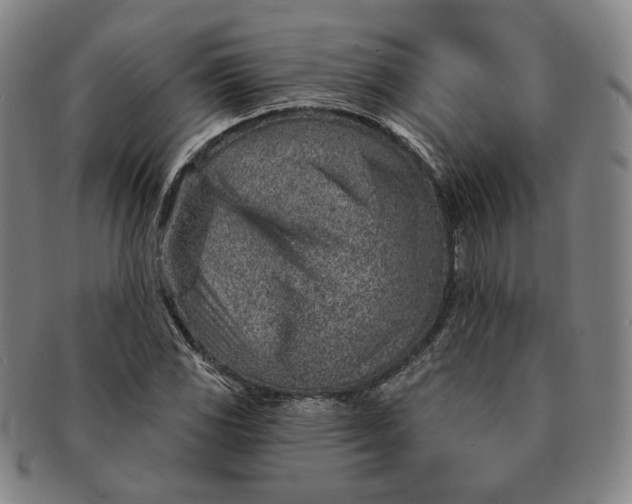 X0000091231117200708301509