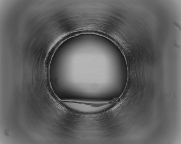 X0000091231118200708301509