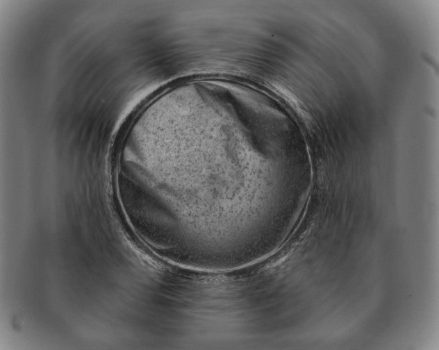 X0000091231120200708301509