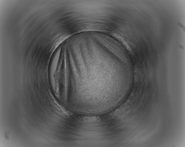 X0000091231121200708301509