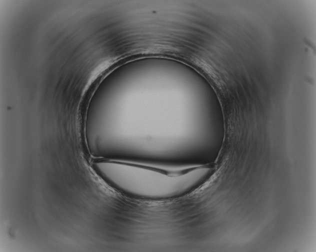 X0000091231122200708301509